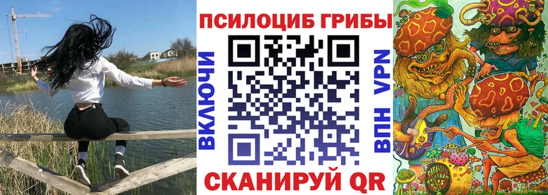где можно купить наркотик  Ардатов  Галлюциногенные грибы ЛСД 